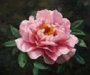 unknow artist Realistic Pink Rose oil painting on canvas